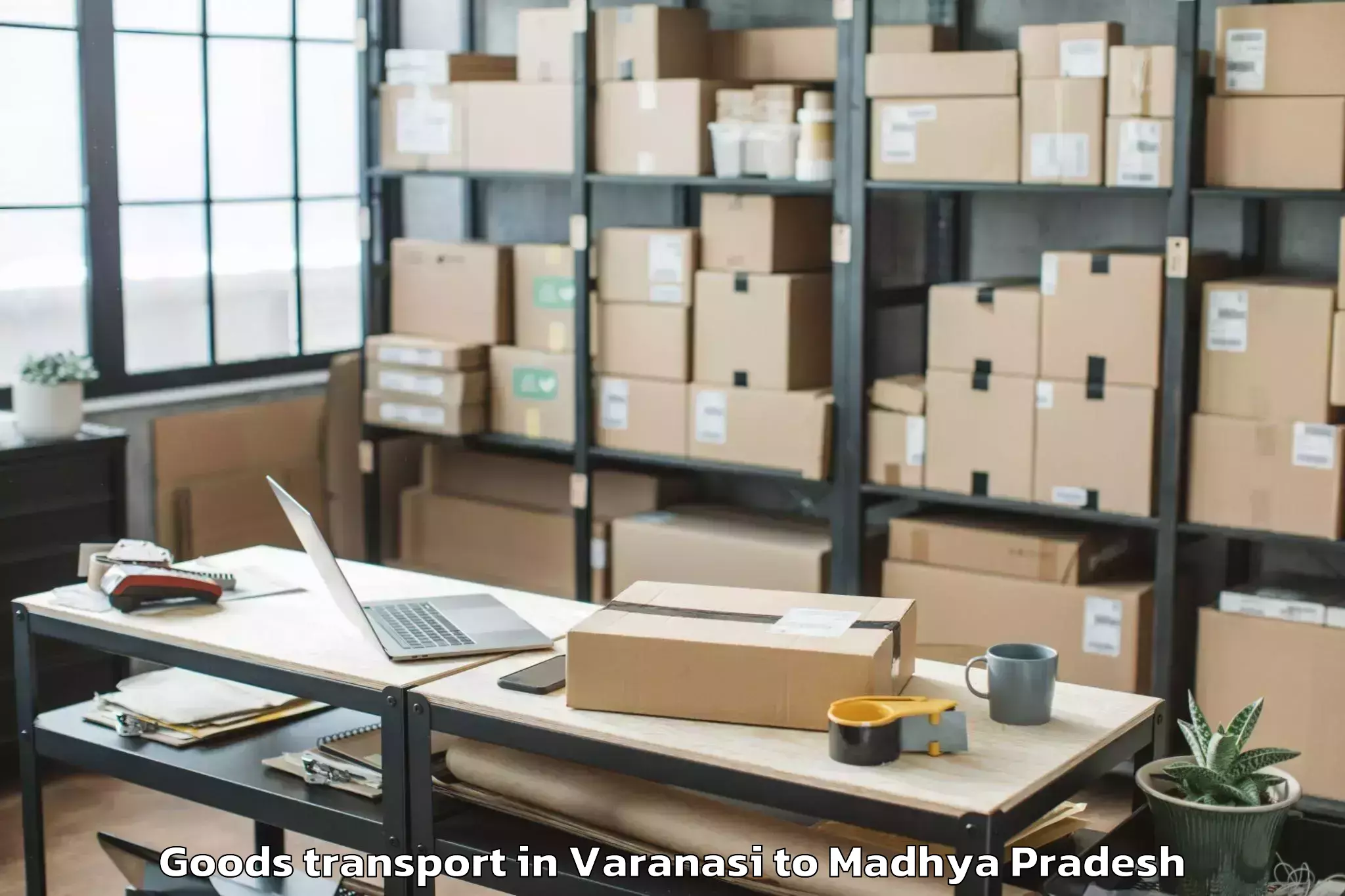 Trusted Varanasi to Rewa Airport Rew Goods Transport